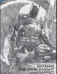 Batman: The Dark Knight Unwrapped By David Finch Deluxe Edition comic