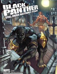 Black Panther: The Man Without Fear comic