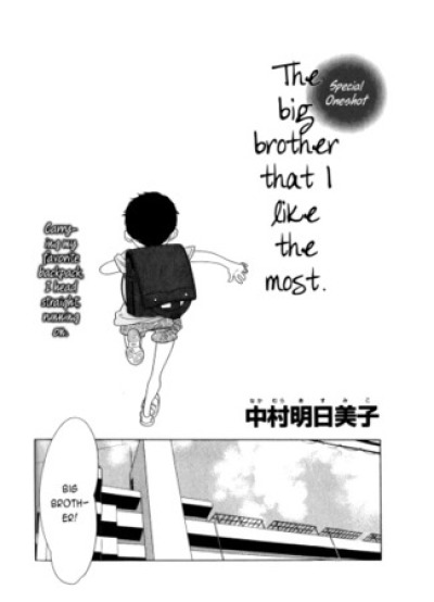 Boku no Suki na Nii-chan comic