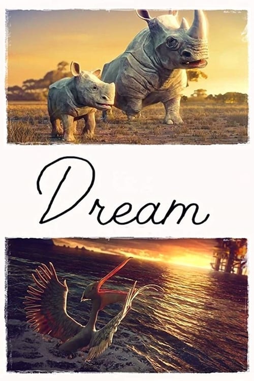 Dream animación