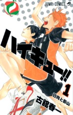 Haikyū!! comic