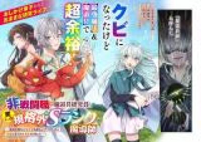 Hisentou Shoku no Madougu Kenkyuuin, Jitsu wa Kikakugai no S Rank Madoushi - Kinmu Jikangai ni Mukyuu de Seika wo Agete Kita no ni Munou to Iwarete Kubi ni narimashita comic