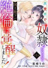 Isekai de Dore ini Nattara Kokuou Heika ga Zetsurin ni Kakuseishimashita! comic