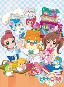 Kamisama Minarai: Himitsu no Cocotama animación