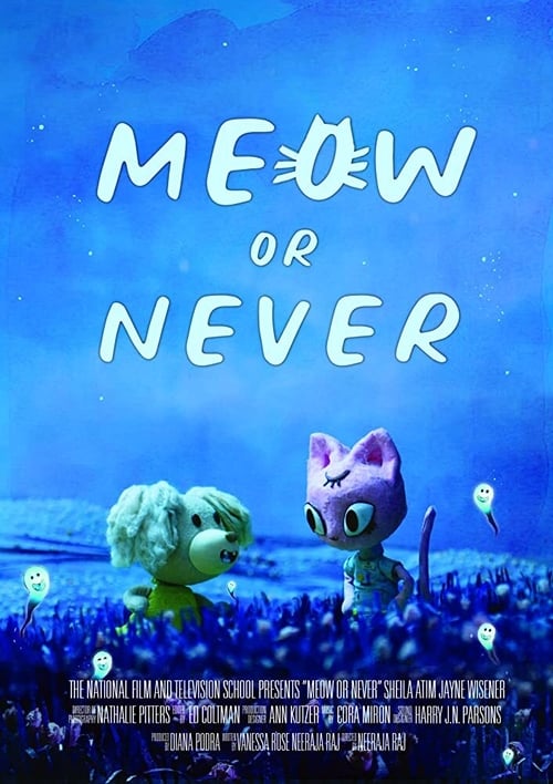 Meow or Never animación