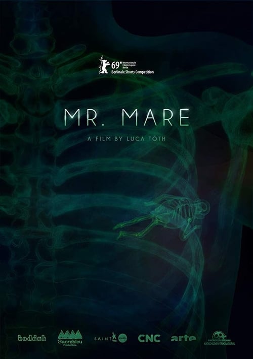 Mr. Mare animación