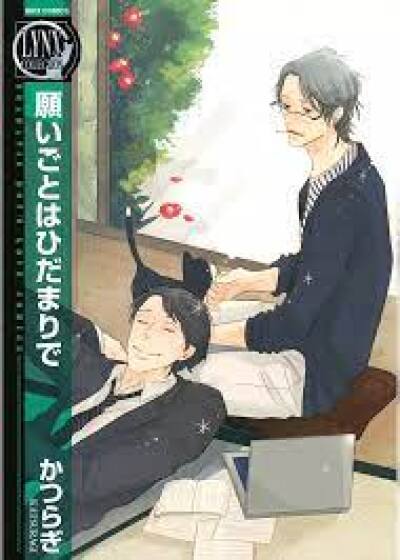 Negaigoto wa Hidamari de comic