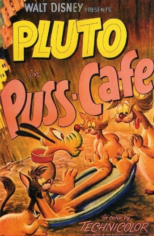 Puss Cafe animación
