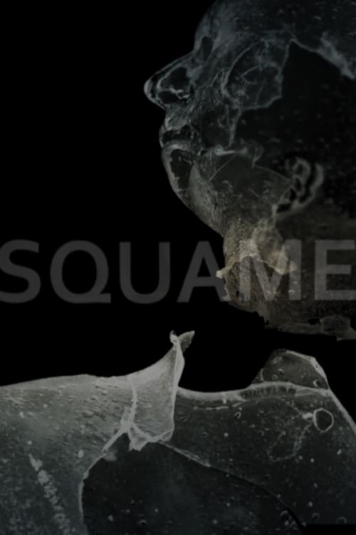 Squame animación