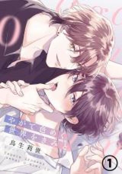 Yagate Iromeku Sekai wo Kimi to comic